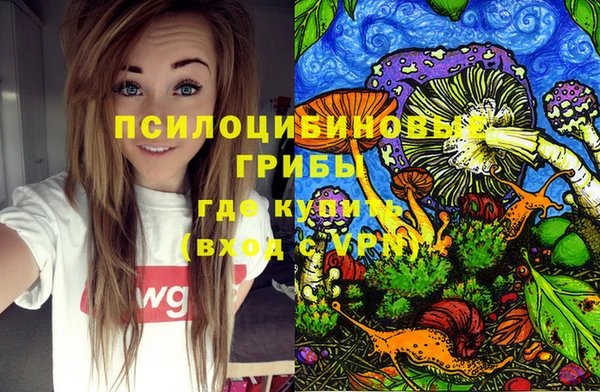 jwh Великий Новгород
