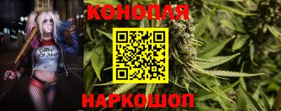 хмурый Гай