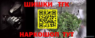 соль ск Гатчина