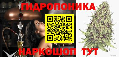 хмурый Гай