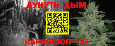 соль ск Гатчина