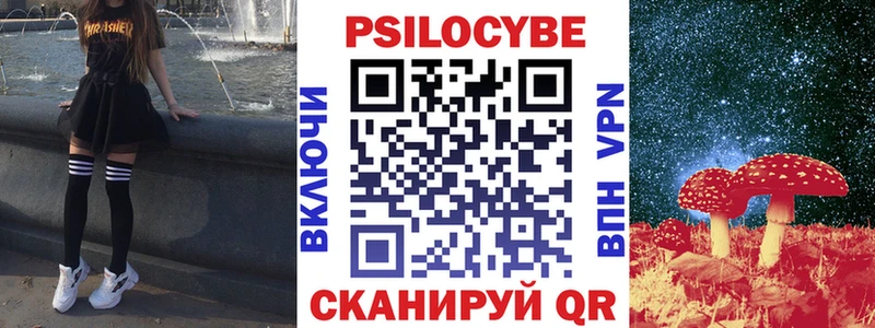 darknet Telegram  Звенигород  Псилоцибиновые грибы мицелий 