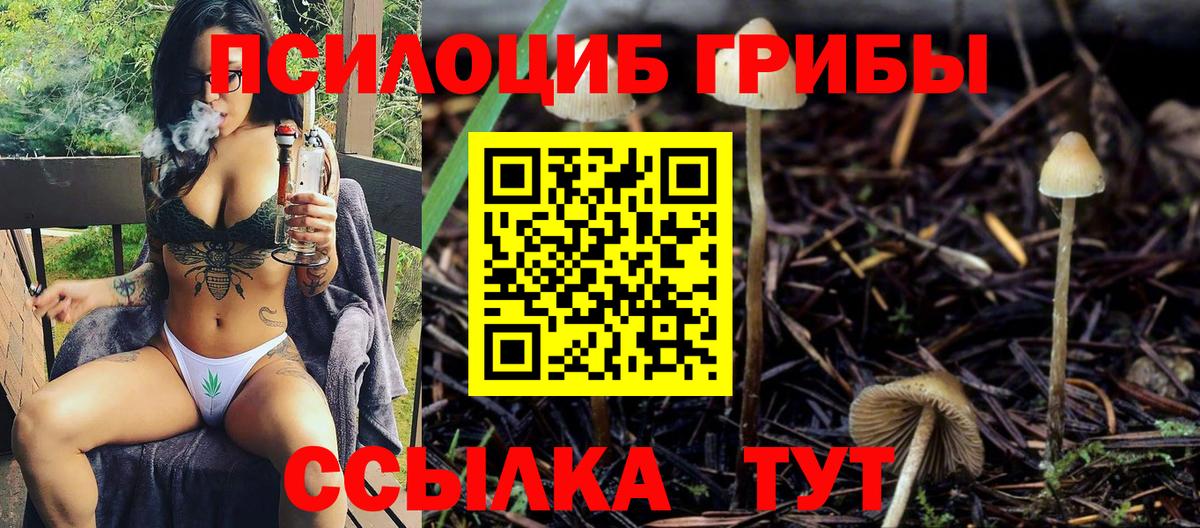 Галлюциногенные грибы GOLDEN TEACHER Звенигород