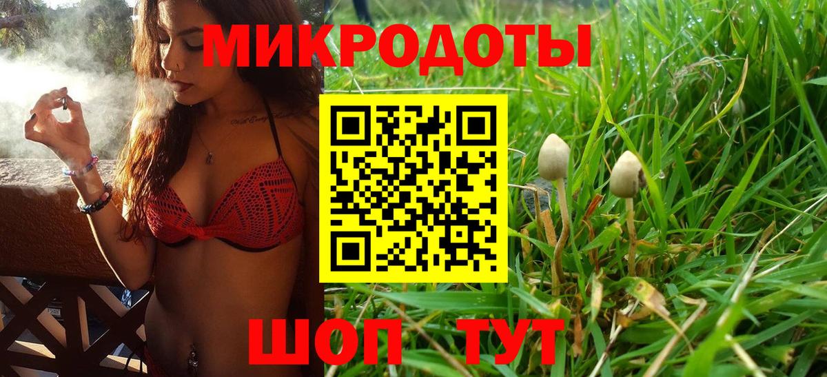 купить  сайты  Псилоцибиновые грибы ЛСД  Вход с VPN  Звенигород  Псилоцибиновые грибы Magic Shrooms 