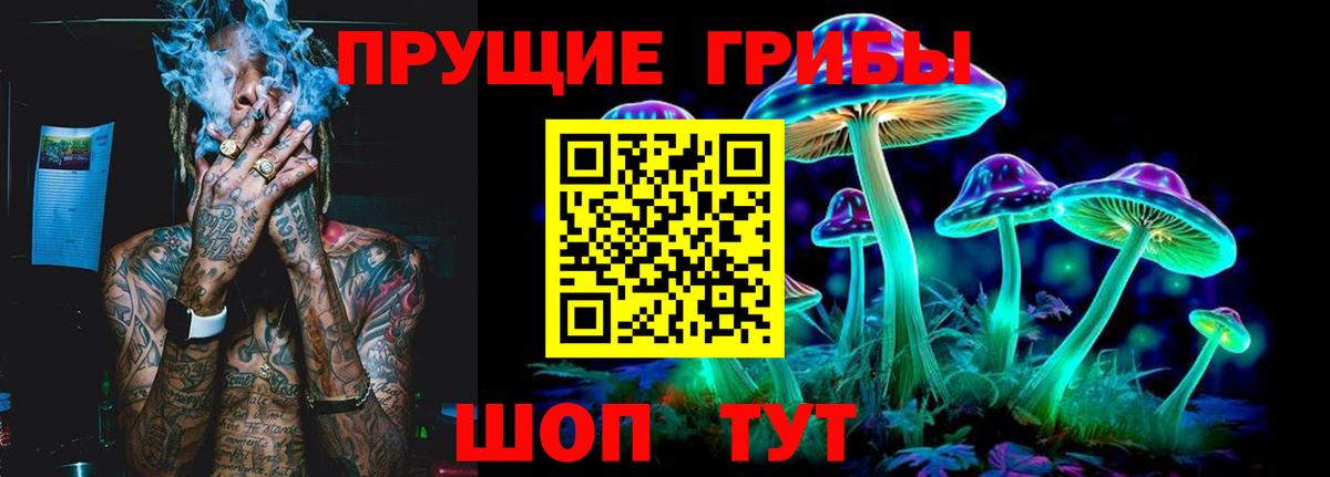 Псилоцибиновые грибы MAGIC MUSHROOMS  Псилоцибиновые грибы прущие грибы  Звенигород 