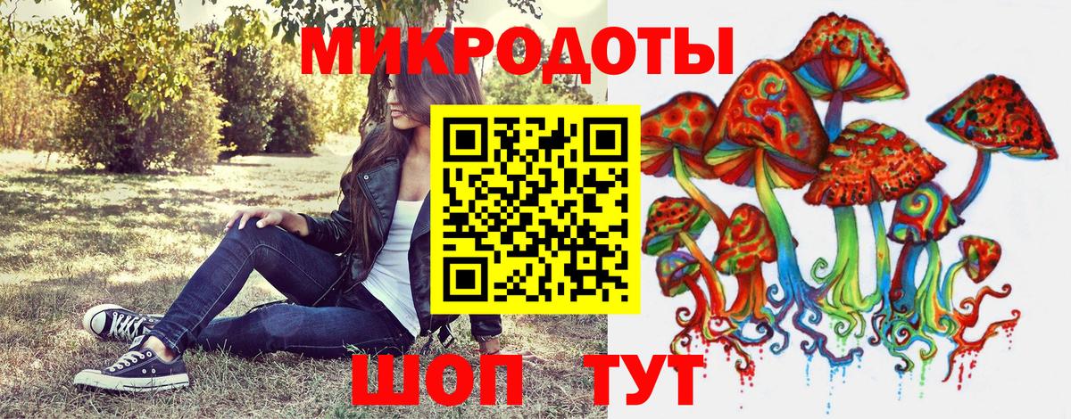 Псилоцибиновые грибы Cubensis Звенигород